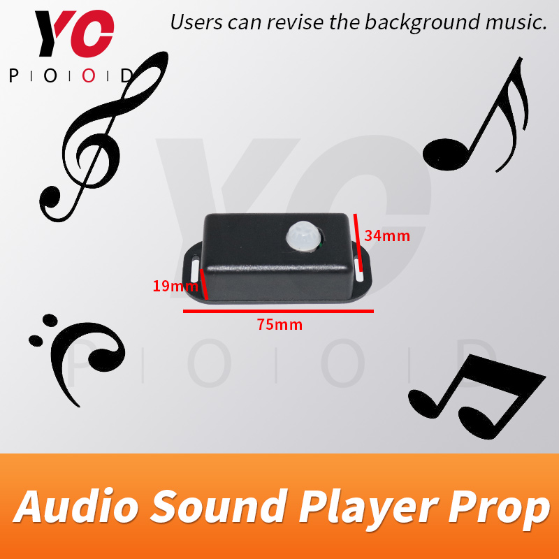 YOPOOD เครื่องเล่นเสียงมนุษย์ต - Audio Detect Music บทวิจารณ์และราคา